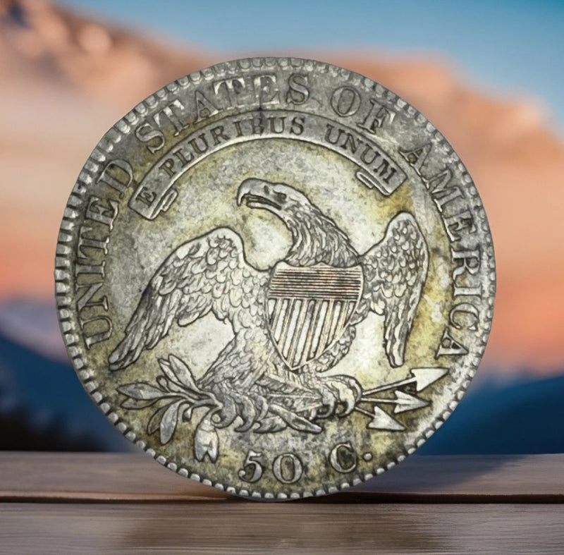 1819 50c Capped Bust Half Dollar EF/AU Large 9-7